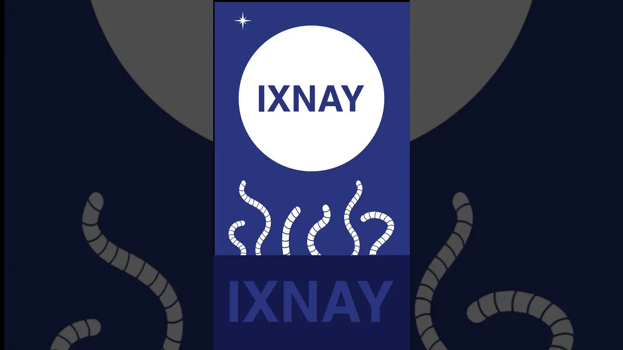 Thumbnail image to the short video featuring an audio excerpt of the IXNAY song Moon of Worms (Acoustic)