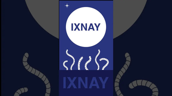 Thumbnail image to the short video featuring an audio excerpt of the IXNAY song Moon of Worms (Acoustic)