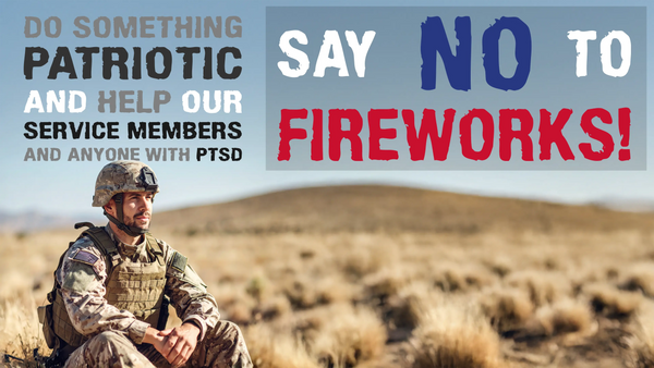 Fireworks? NO! Top Reasons Not To Use Fireworks - Ever