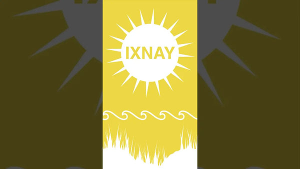 Thumbnail image to the short video featuring an audio excerpt of the IXNAY song Sky's So Big