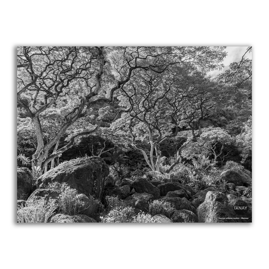 "Gesture without motion" Waimea monochrome IXNAY photography poster 24x18"