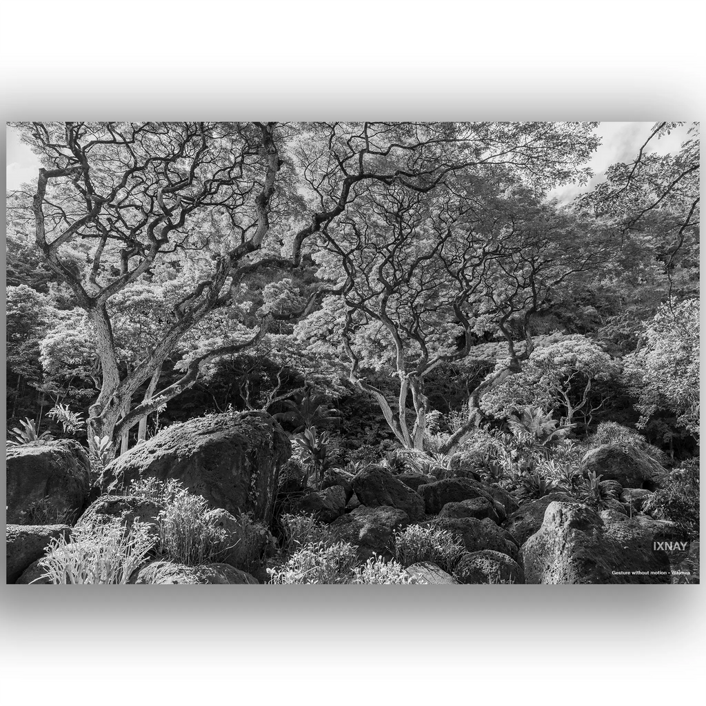 "Gesture without motion" Waimea monochrome IXNAY photography poster 36x24"