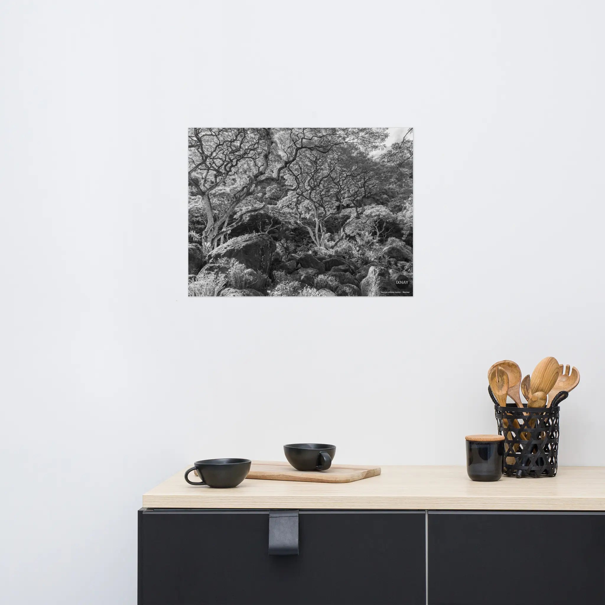 "Gesture without motion" Waimea monochrome IXNAY photography poster 24x18" wall-mounted