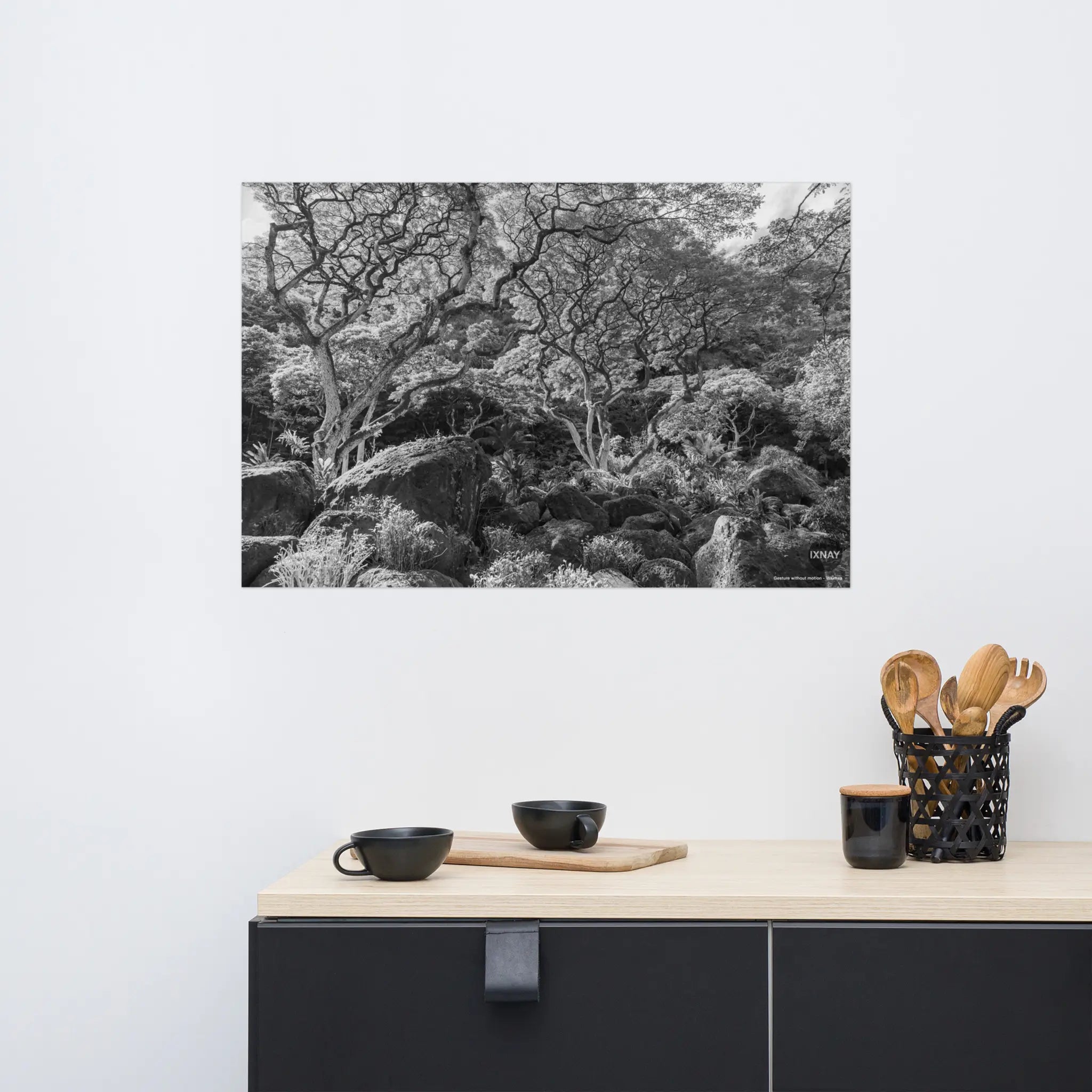 "Gesture without motion" Waimea monochrome IXNAY photography poster 36x24" wall-mounted