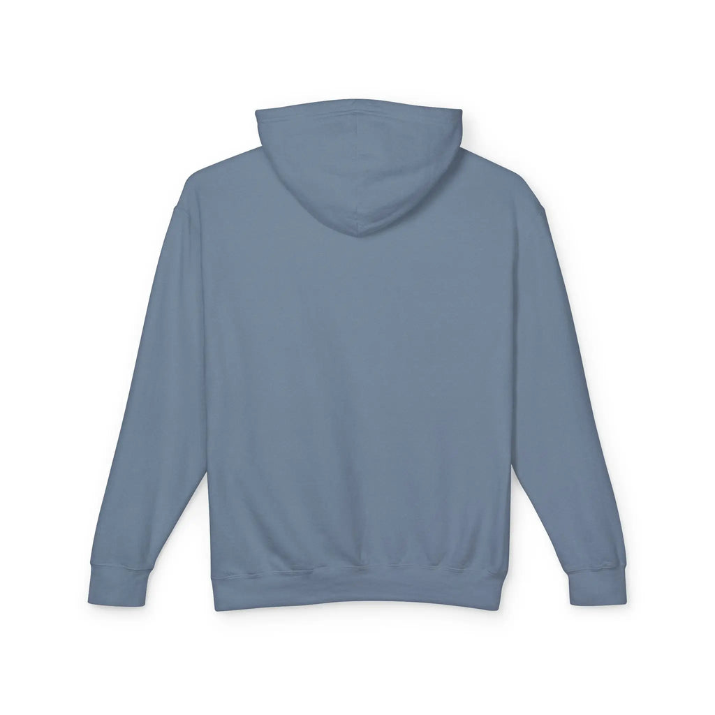Women's lightweight slate blue hoodie shown from the back 100% cotton.