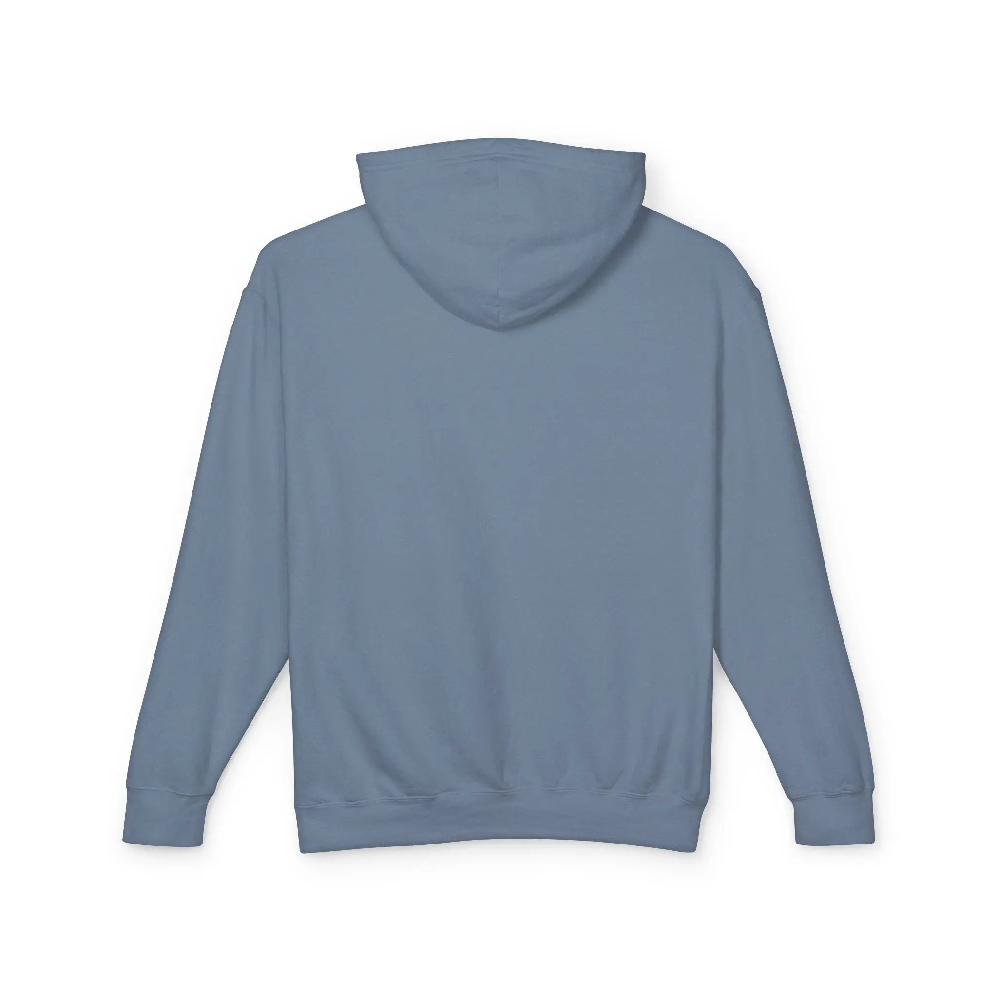 Women's lightweight slate blue hoodie shown from the back 100% cotton.