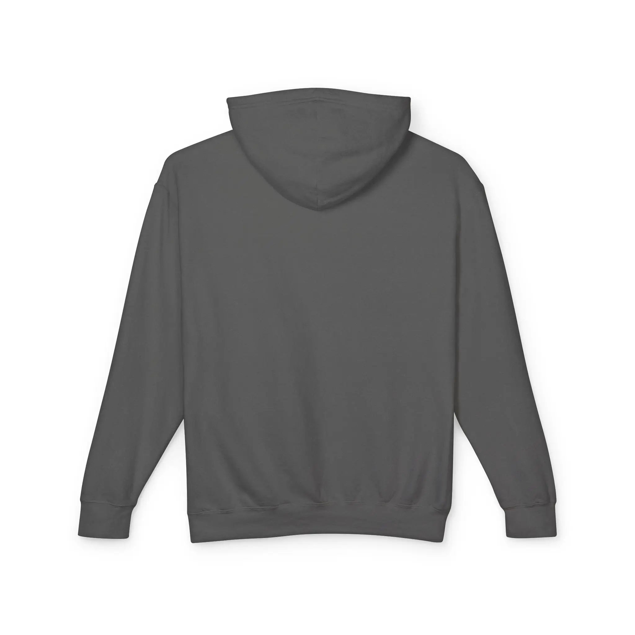 Women's lightweight dark gray hoodie shown from the back 100% cotton.