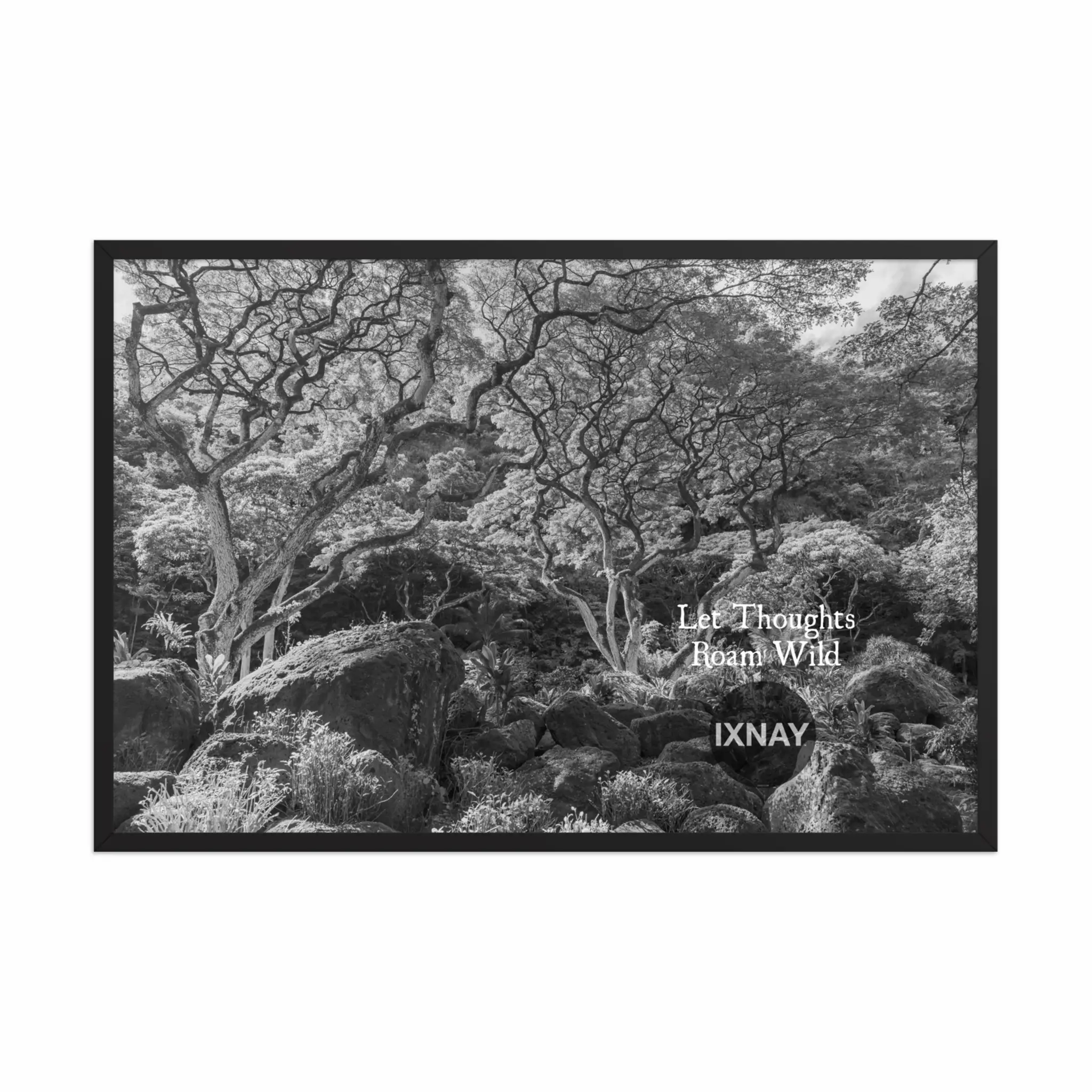 Let Thoughts Roam Wild -  24 x 36" Framed Poster