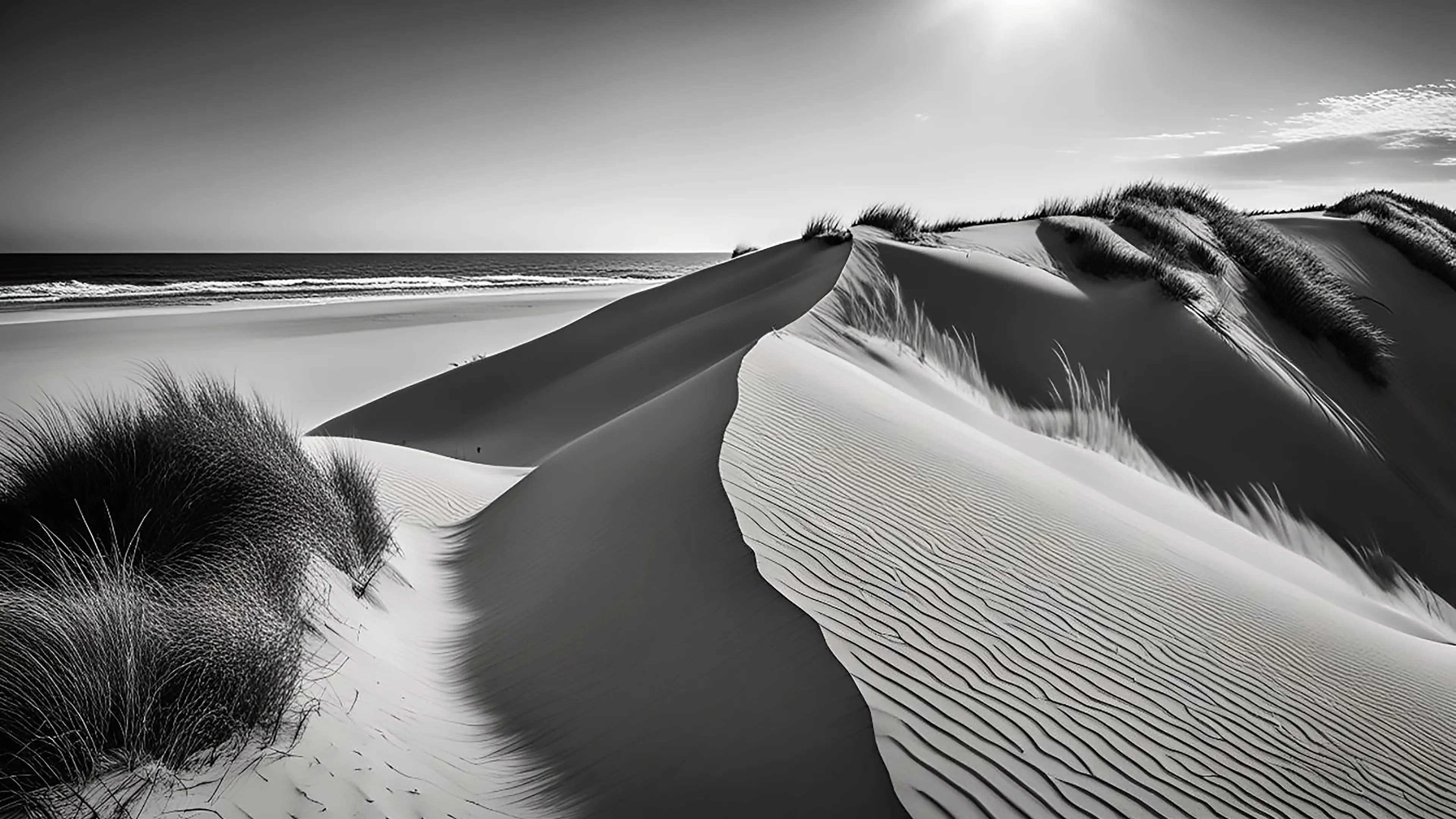 Black and white photo of sand dunes with grasses on a beach