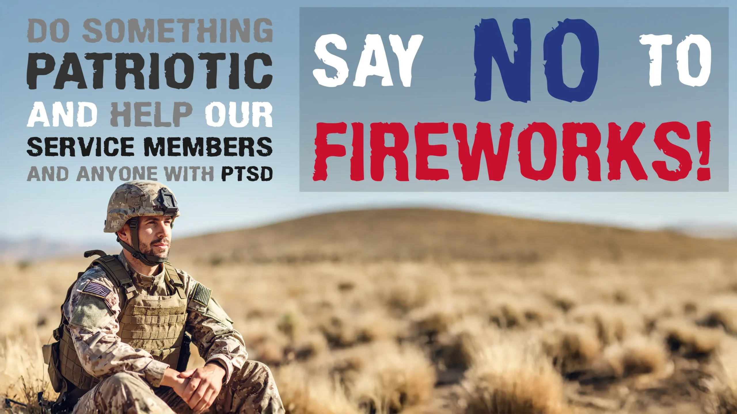 Image shows United States Army Sergeant in battle fatigues looking out over a field of desert grass. text in image says "Do something patriotic and help our service members and anyone with PTSD: say NO to Fireworks!"